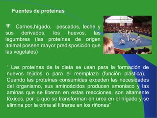 Fuentes de proteínas Carnes,hígado,  pescados, leche y sus derivados, los huevos, las legumbres (las proteínas de origen animal poseen mayor predisposición que las vegetales) “  Las proteínas de la dieta se usan para la formación de nuevos tejidos o para el reemplazo (función plástica).  Cuando las proteínas consumidas exceden las necesidades del organismo, sus aminoácidos producen amoniaco y las aminas que se liberan en estas reacciones, son altamente tóxicos, por lo que se transforman en urea en el hígado y se elimina por la orina al filtrarse en los riñones” 