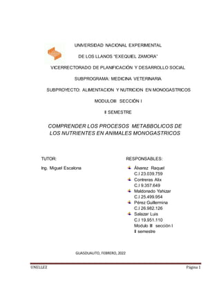 UNELLEZ Página 1
UNIVERSIDAD NACIONAL EXPERIMENTAL
DE LOS LLANOS “EXEQUIEL ZAMORA”
VICERRECTORADO DE PLANIFICACIÓN Y DESARROLLO SOCIAL
SUBPROGRAMA: MEDICINA VETERINARIA
SUBPROYECTO: ALIMENTACION Y NUTRICION EN MONOGASTRICOS
MODULOIII SECCIÓN I
II SEMESTRE
RESPONSABLES:
Álvarez Raquel
C.I 23.039.759
Contreras Alix
C.I 9.357.649
Maldonado Yahizar
C.I 25.499.954
Pérez Guillermina
C.I 26.982.126
Salazar Luis
C.I 19.951.110
Modulo III sección I
II semestre
GUASDUALITO, FEBRERO,2022
COMPRENDER LOS PROCESOS METABBOLICOS DE
LOS NUTRIENTES EN ANIMALES MONOGASTRICOS
TUTOR:
Ing. Miguel Escalona
 