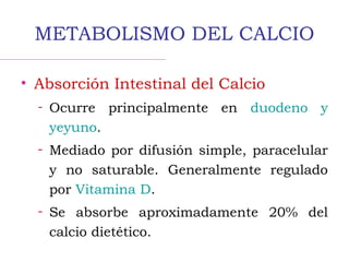 METABOLISMO DEL CALCIO
• Absorción Intestinal del Calcio
– Ocurre principalmente en duodeno y
yeyuno.
– Mediado por difusión simple, paracelular
y no saturable. Generalmente regulado
por Vitamina D.
– Se absorbe aproximadamente 20% del
calcio dietético.
 
