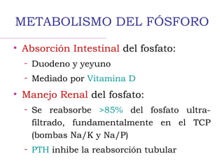 METABOLISMO DEL FÓSFORO
• Absorción Intestinal del fosfato:
– Duodeno y yeyuno
– Mediado por Vitamina D
• Manejo Renal del fosfato:
– Se reabsorbe >85% del fosfato ultra-
filtrado, fundamentalmente en el TCP
(bombas Na/K y Na/P)
– PTH inhibe la reabsorción tubular
 