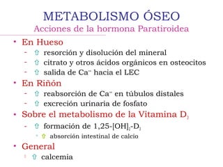 METABOLISMO ÓSEO
Acciones de la hormona Paratiroidea
• En Hueso
–  resorción y disolución del mineral
–  citrato y otros ácidos orgánicos en osteocitos
–  salida de Ca++
hacia el LEC
• En Riñón
–  reabsorción de Ca++
en túbulos distales
–  excreción urinaria de fosfato
• Sobre el metabolismo de la Vitamina D3
–  formación de 1,25-[OH]2-D3

 absorción intestinal de calcio
• General
  calcemia
 