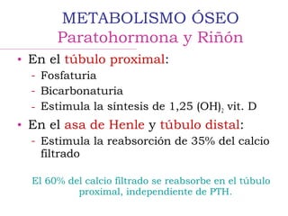 • En el túbulo proximal:
– Fosfaturia
– Bicarbonaturia
– Estimula la síntesis de 1,25 (OH)2 vit. D
• En el asa de Henle y túbulo distal:
– Estimula la reabsorción de 35% del calcio
filtrado
El 60% del calcio filtrado se reabsorbe en el túbulo
proximal, independiente de PTH.
METABOLISMO ÓSEO
Paratohormona y Riñón
 