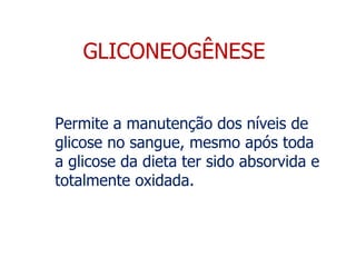 GLICONEOGÊNESE Permite a manutenção dos níveis de glicose no sangue, mesmo após toda a glicose da dieta ter sido absorvida e totalmente oxidada. 