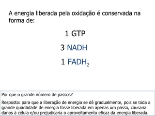 A energia liberada pela oxidação é conservada na forma de: 1 GTP 3  NADH  1  FADH 2 Por que o grande número de passos? Resposta: para que a liberação de energia se dê gradualmente, pois se toda a grande quantidade de energia fosse liberada em apenas um passo, causaria danos à célula e/ou prejudicaria o aproveitamento eficaz da energia liberada. 