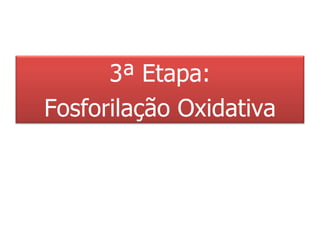 3ª Etapa: Fosforilação Oxidativa 