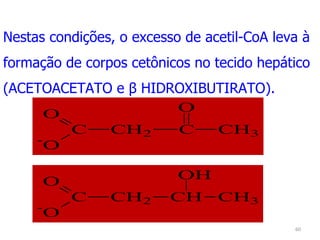 Nestas condições, o excesso de acetil-CoA leva à formação de corpos cetônicos no tecido hepático (ACETOACETATO e β HIDROXIBUTIRATO).  
