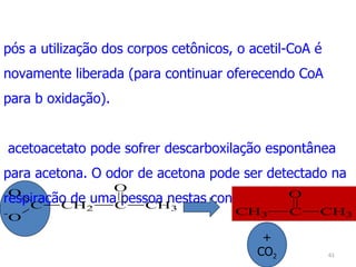 Após a utilização dos corpos cetônicos, o acetil-CoA é novamente liberada (para continuar oferecendo CoA para b oxidação). O acetoacetato pode sofrer descarboxilação espontânea para acetona. O odor de acetona pode ser detectado na respiração de uma pessoa nestas condições. + CO 2 
