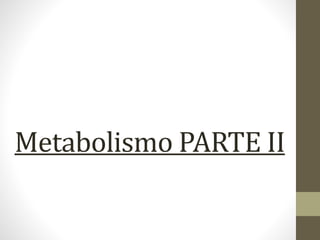 Metabolismo PARTE II
 