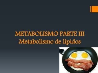 METABOLISMO PARTE III
Metabolismo de lípidos
 