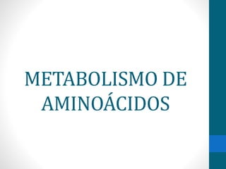 METABOLISMO DE
AMINOÁCIDOS
 