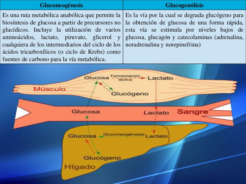 Tips para aceleradores de metabolismo
