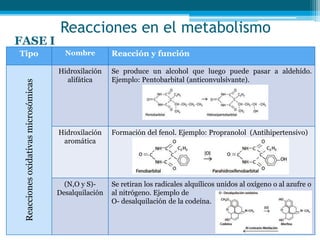 Reacciones en el metabolismo
Tipo Nombre Reacción y función
Reaccionesoxidativasmicrosómicas
Hidroxilación
alifática
Se produce un alcohol que luego puede pasar a aldehído.
Ejemplo: Pentobarbital (anticonvulsivante).
Hidroxilación
aromática
Formación del fenol. Ejemplo: Propranolol (Antihipertensivo)
(N,O y S)-
Desalquilación
Se retiran los radicales alquílicos unidos al oxígeno o al azufre o
al nitrógeno. Ejemplo de
O- desalquilación de la codeína.
FASE I
 
