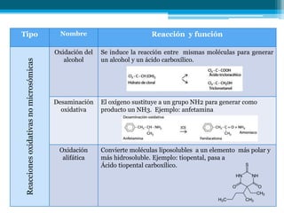 Tipo Nombre Reacción y función
Reaccionesoxidativasnomicrosómicas
Oxidación del
alcohol
Se induce la reacción entre mismas moléculas para generar
un alcohol y un ácido carboxílico.
Desaminación
oxidativa
El oxígeno sustituye a un grupo NH2 para generar como
producto un NH3. Ejemplo: anfetamina
Oxidación
alifática
Convierte moléculas liposolubles a un elemento más polar y
más hidrosoluble. Ejemplo: tiopental, pasa a
Ácido tiopental carboxílico.
 