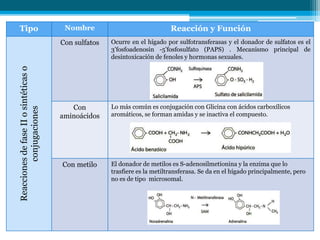 Tipo Nombre Reacción y Función
ReaccionesdefaseIIosintéticaso
conjugaciones
Con sulfatos Ocurre en el hígado por sulfotransferasas y el donador de sulfatos es el
3’fosfoadenosin -5’fosfosulfato (PAPS) . Mecanismo principal de
desintoxicación de fenoles y hormonas sexuales.
Con
aminoácidos
Lo más común es conjugación con Glicina con ácidos carboxílicos
aromáticos, se forman amidas y se inactiva el compuesto.
Con metilo El donador de metilos es S-adenosilmetionina y la enzima que lo
trasfiere es la metiltransferasa. Se da en el hígado principalmente, pero
no es de tipo microsomal.
 
