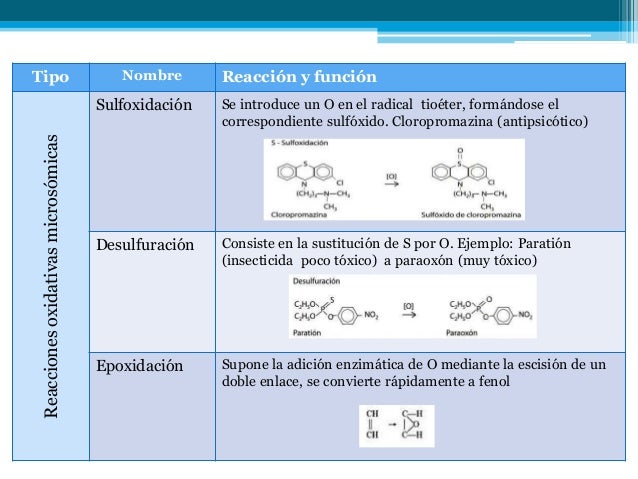 acelerar metabolismo pastillas secretos