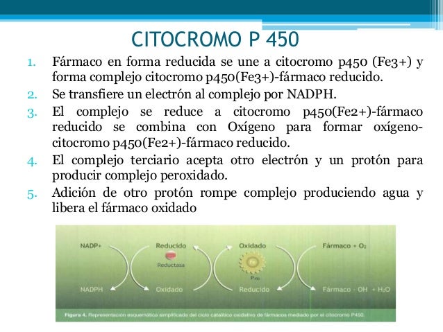 Los mejores consejos para calorias metabolismo basal