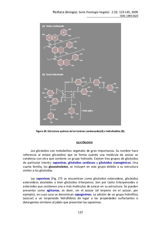 lecciones importantes sobre ralentizar metabolismo