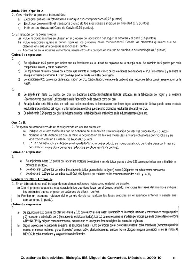 dieta del metabolismo para Dummies