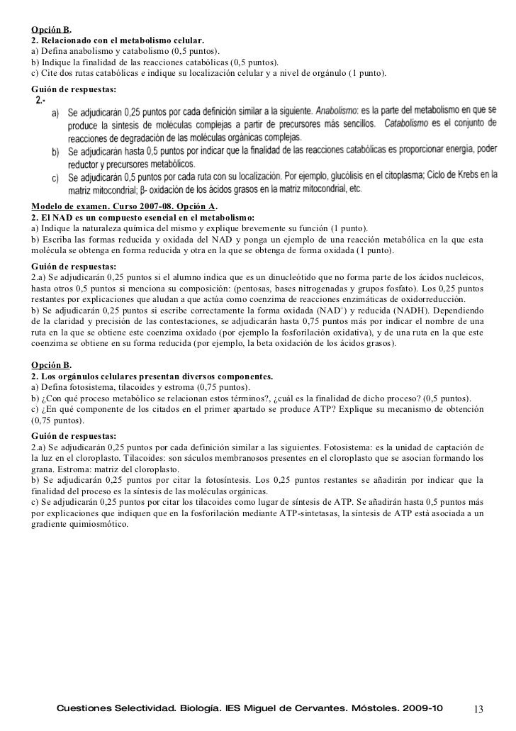 Prácticas para menú dieta cetogénica