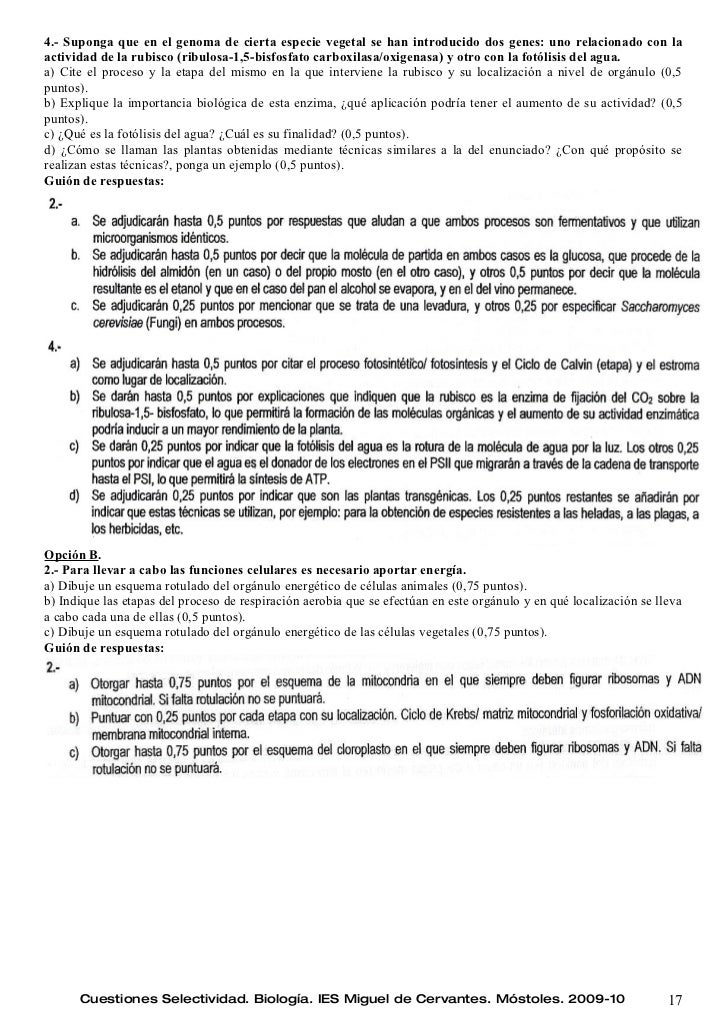 dieta para acelerar el metabolismo medicamento