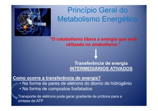 Princípio Geral do
                         Metabolismo Energético

                    "O catabolismo libera a energia que será
                           utilizada no anabolismo."



                                  Transferência de energia
                                INTERMEDIÁRIOS ATIVADOS

Como ocorre a transferência de energia?
  • Na forma de pares de elétrons do átomo de hidrogênio
  • Na forma de compostos fosfatados
  Transporte de elétrons pode gerar gradiente de prótons para a
  síntese de ATP
 