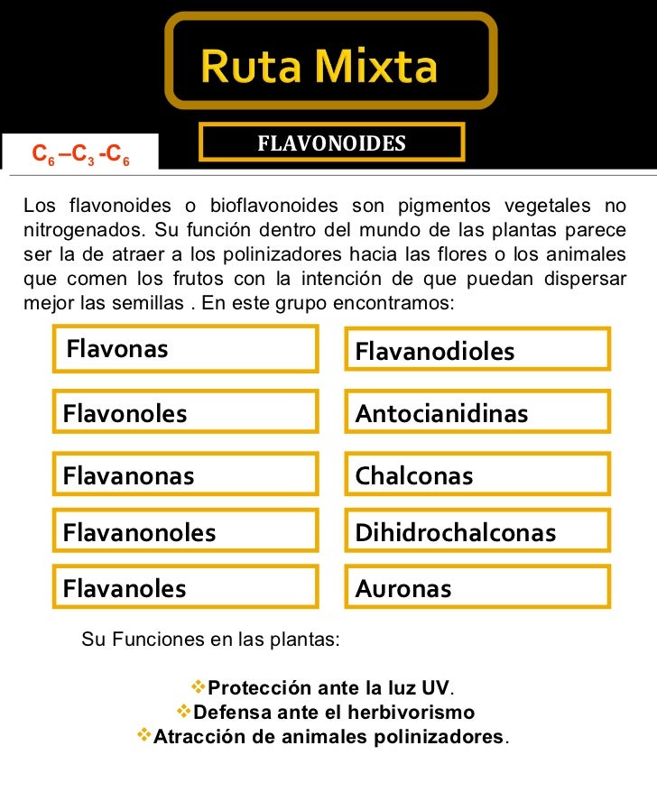 Cinco cuestiones sobre metabolismo biologia