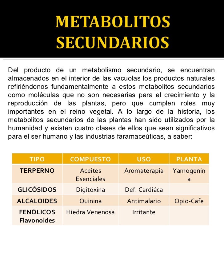 alimentos para bajar de peso y quemar grasa métodos de mejora