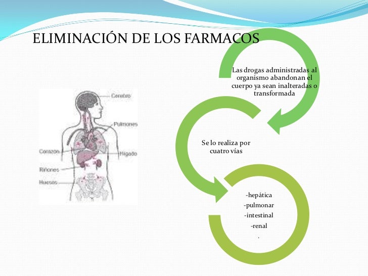 Vias De Eliminacion De Los Farmacos