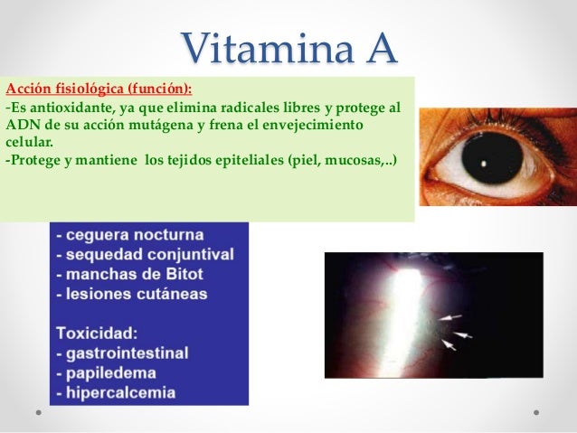 Aprender más sobre metabolismo basal que es