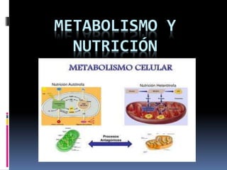 METABOLISMO Y
NUTRICIÓN
 