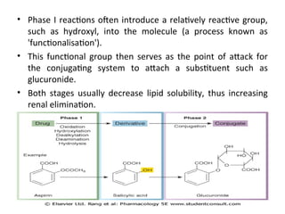 Comprehensive Overview of Drug Metabolism: Phase I and II Reactions ...
