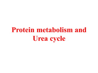 Protein metabolism and
Urea cycle
 