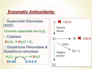 Metabolism Seminar Biochemistry 1, Oxidative Stress.pdf