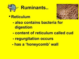 Utilization of feedstufs in ruminant | PPT
