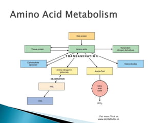 For more Visit us:
www.dentaltutor.in
 