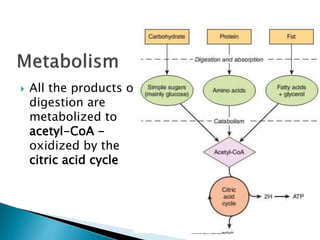  All the products of
digestion are
metabolized to
acetyl-CoA -
oxidized by the
citric acid cycle
For more Visit us:
www.dentaltutor.in
 