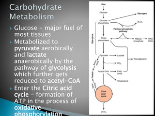  Glucose - major fuel of
most tissues
 Metabolized to
pyruvate aerobically
and lactate
anaerobically by the
pathway of glycolysis
which further gets
reduced to acetyl-CoA
 Enter the Citric acid
cycle - formation of
ATP in the process of
oxidative For more Visit us:
www.dentaltutor.in
 
