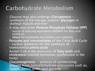  Glucose may also undergo Glycogenesis -
synthesis of the storage polymer glycogen in
skeletal muscle and liver
 It may also enter Pentose Phosphate Pathway (PPP)
◦ source of reducing equivalents (NADPH) for fatty acid
synthesis
◦ ribose for nucleotide and nucleic acid synthesis
• Pyruvate and intermediates of the Citric Acid Cycle
- carbon skeletons for the synthesis of
nonessential amino acids
• Acetyl-CoA is the precursor of fatty acids and
cholesterol (steroid hormones synthesized in the
body)
• Gluconeogenesis - process of synthesizing
glucose from noncarbohydrate precursors such as,
lactate, amino acids, and glycerol
For more Visit us:
www.dentaltutor.in
 