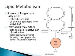  Source of long-chain
fatty acids
◦ either dietary lipid
◦ Or de novo synthesis from
acetyl-CoA
 Fatty acids may either
◦ gets oxidized to acetyl-CoA
( β-oxidation)
◦ esterified with glycerol
forming triacylglycerol -
body’s main fuel reserve
For more Visit us:
www.dentaltutor.in
 