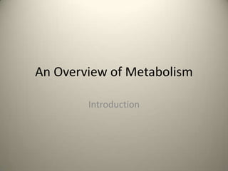 An Overview of Metabolism

        Introduction
 