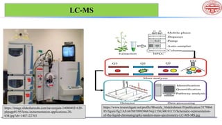 techniques used in Metabolite profiling of bryophytes ppt | PPTX