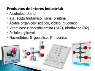 Productos de interés industrial: Alcoholes: etanol a.a: acido Glutamico, lisina, ornitina Ácidos orgánicos: acético, cítrico, gluconico Vitaminas: cianocobalamina (B12), riboflavina (B2) Polioles: glicerol Nucleótidos: 5´guanilico, 5´inosínico 