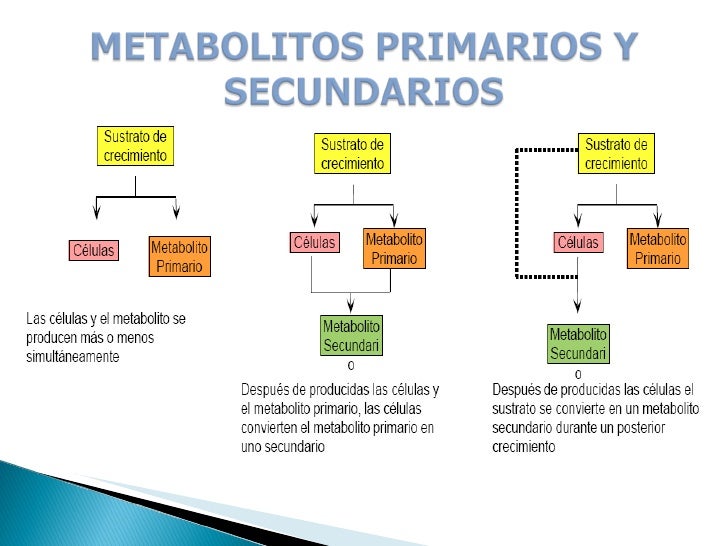 Metabolitos