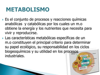 Es el conjunto de procesos y reacciones químicas anabólicas  y catabólicas por los cuales un m.o obtiene la energía y los nutrientes que necesita para vivir y reproducirse.  Las características metabólicas específicas de unm.o constituyen el principal criterio para determinar su papel ecológico, su responsabilidad en los ciclosbiogeoquímicos y su utilidad en los procesos industriales. METABOLISMO 