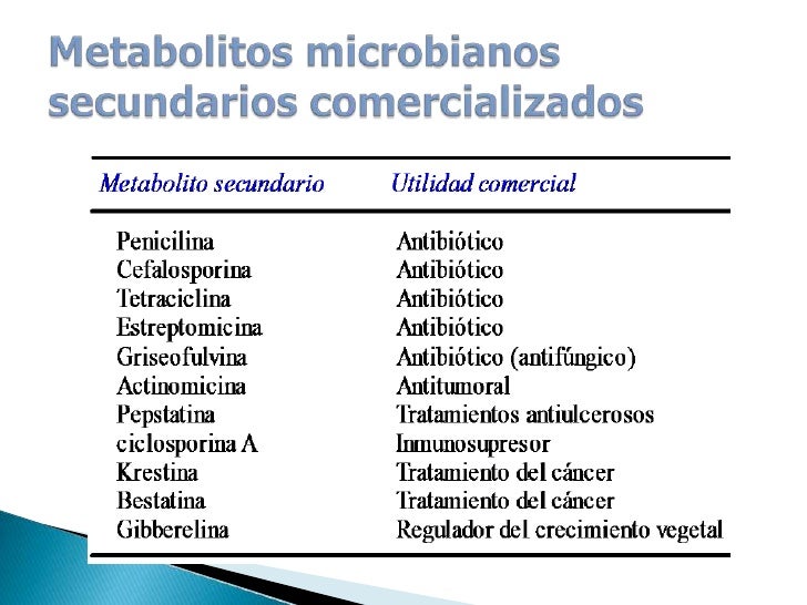 Metabolitos presentacion