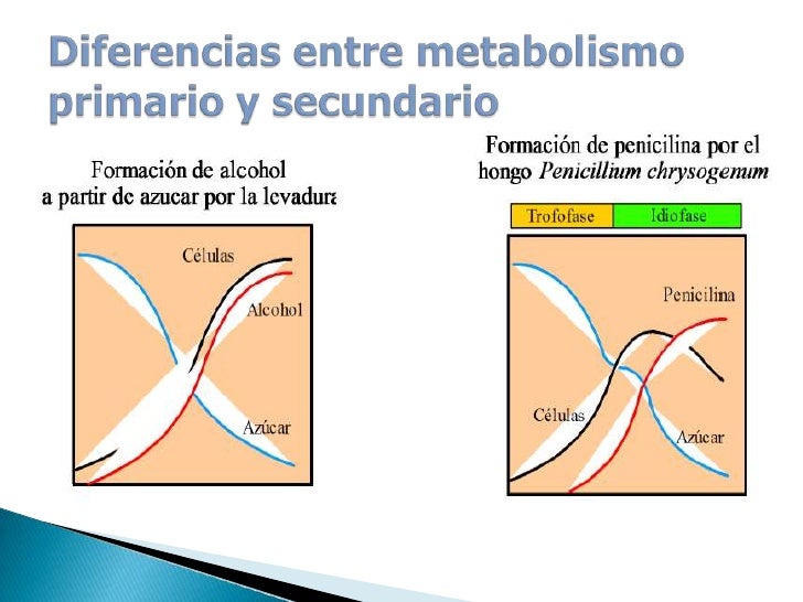 youtube metabolismo tv con el estrés