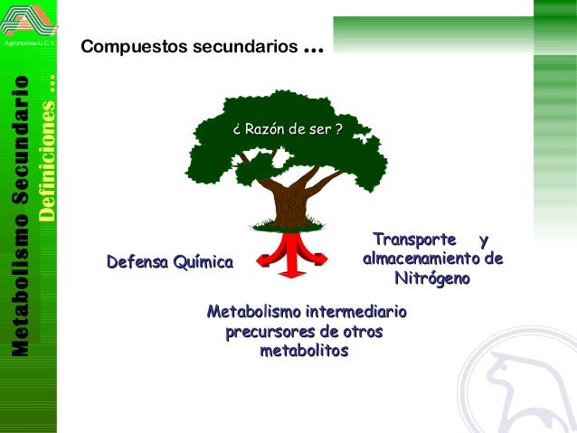 Cure la dieta del metabolismo acelerado pdf gratis con la naturaleza