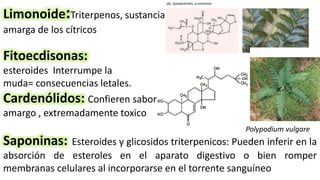 Fitoecdisonas:
esteroides Interrumpe la
muda= consecuencias letales.
Polypodium vulgare
Cardenólidos: Confieren sabor
amargo , extremadamente toxico
Saponinas: Esteroides y glicosidos triterpenicos: Pueden inferir en la
absorción de esteroles en el aparato digestivo o bien romper
membranas celulares al incorporarse en el torrente sanguíneo
Limonoide:Triterpenos, sustancia
amarga de los cítricos
 