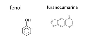 fenol furanocumarina
 