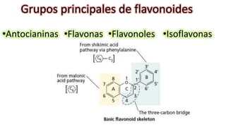 Grupos principales de flavonoides
•Antocianinas •Flavonas •Isoflavonas
•Flavonoles
 